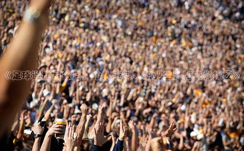 威廉williamhill官网在线登录度小满理财《足球运动员徐月：个人资料、职业生涯和荣誉揭秘》