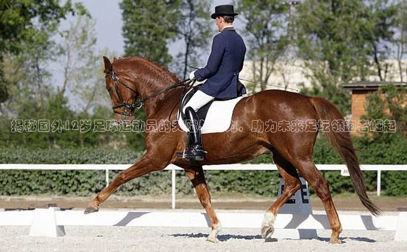 williamhill官网登录入口百度智能云揭秘国外12岁足球运动员的天赋与能力，助力未来足坛领跑者崛起