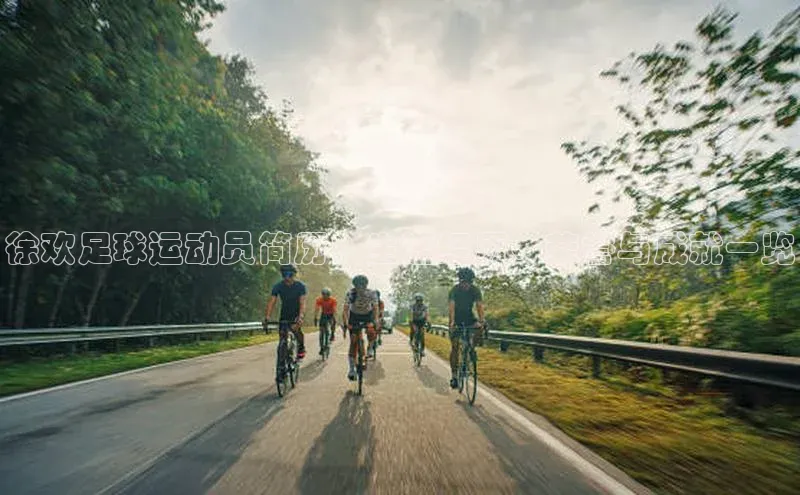 威廉希尔体育路畅科技徐欢足球运动员简历：生涯经历、荣誉与成就一览