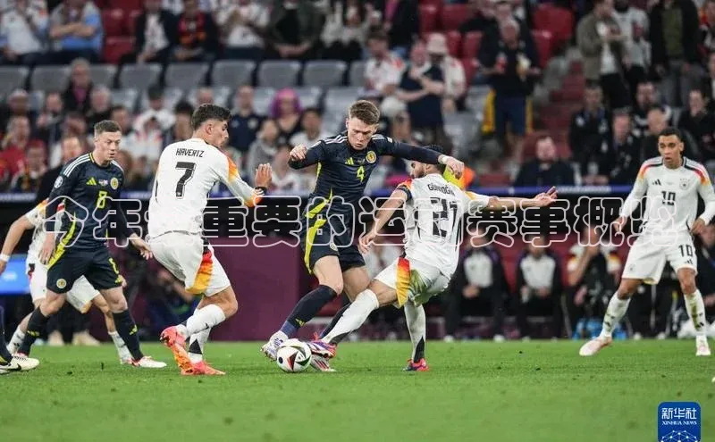 今年最重要的运动赛事概览