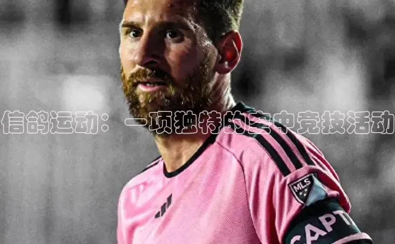 信鸽运动：一项独特的空中竞技活动