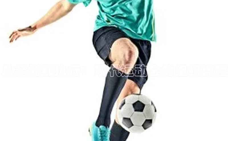 从策划到执行：现代运动会的组织流程