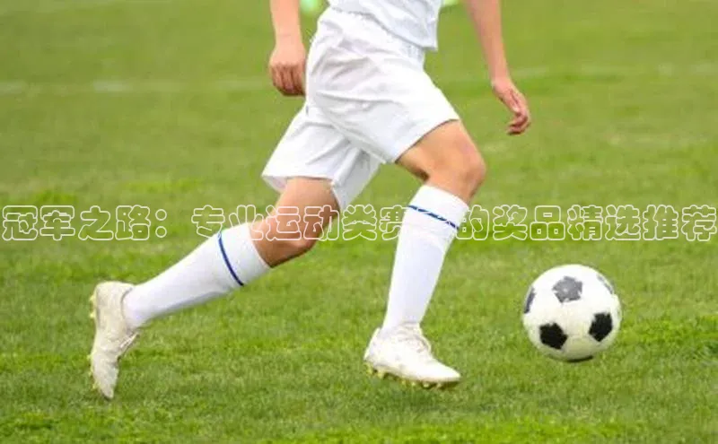 冠军之路：专业运动类赛事的奖品精选推荐