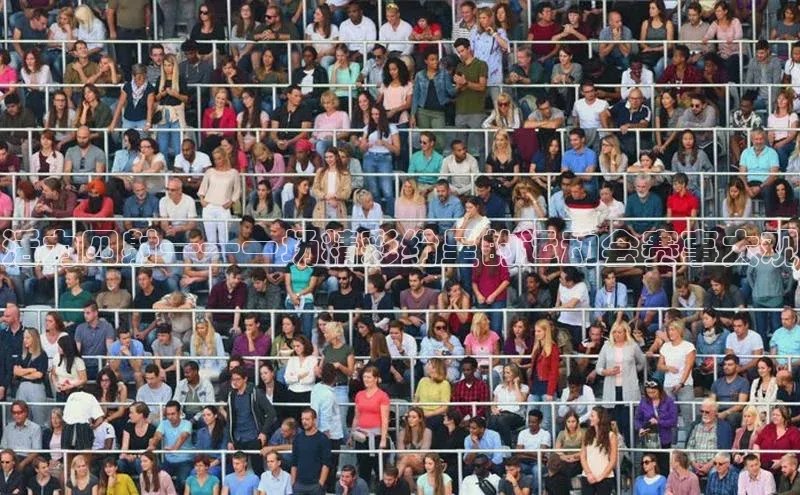 活力四射——一场精彩纷呈的运动会赛事大观