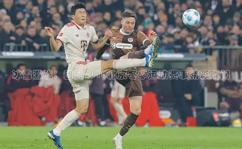 冰雪激战：回顾2018北京冬季运动赛事精彩瞬间