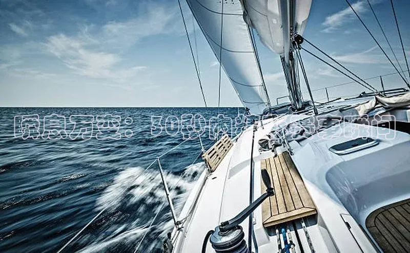 瞬息万变：30秒内精彩赛事瞬间