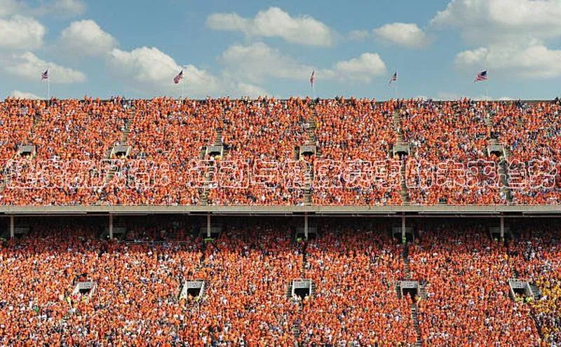 健康新风尚：运动与健康赛事的未来趋势