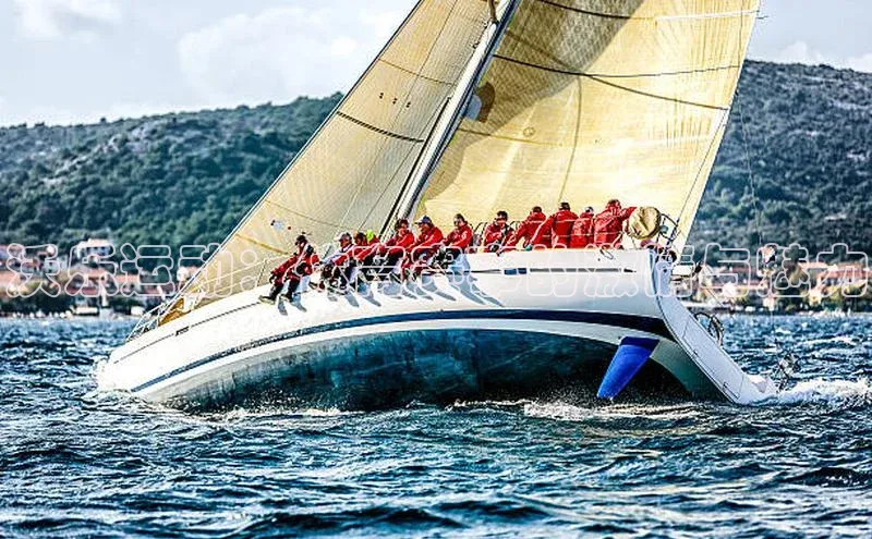 沃乐运动：体育赛事的激情与魅力