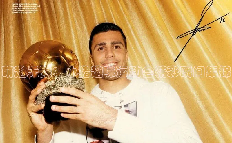 萌趣无限：小猪趣味运动会精彩瞬间集锦