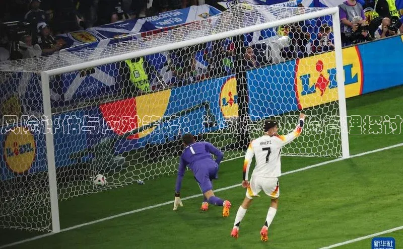 风险评估与应对策略：运动赛事风险管理探讨