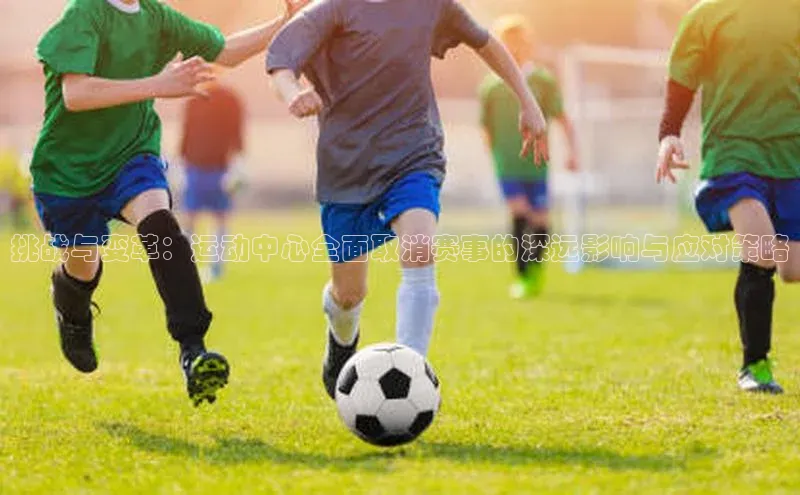 挑战与变革：运动中心全面取消赛事的深远影响与应对策略