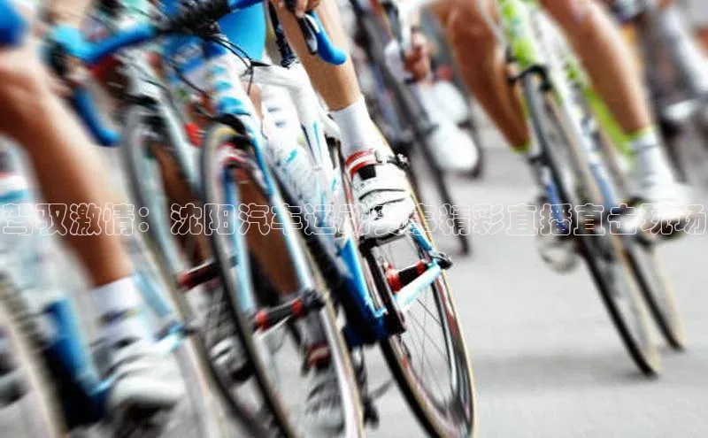 驾驭激情：沈阳汽车运动赛事精彩直播直击现场