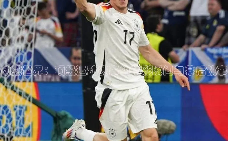 威廉希尔官网网址是多少